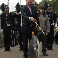 Penguin Knighted