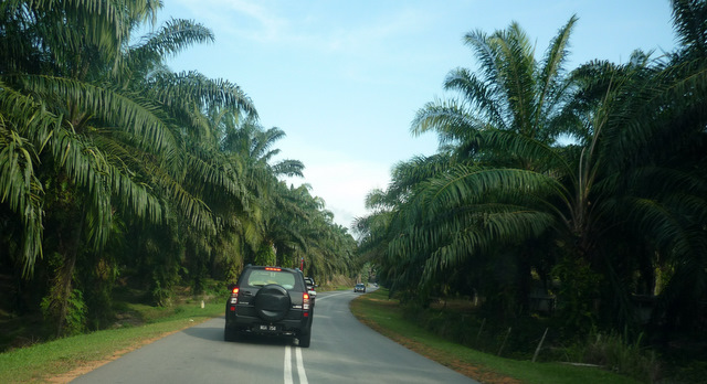 Road leading to Felda Soeharto